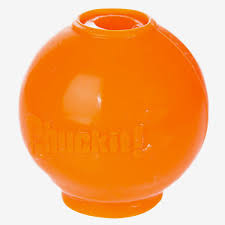 2051 43042 - Chuckit Hydro Freeze Ball, Large