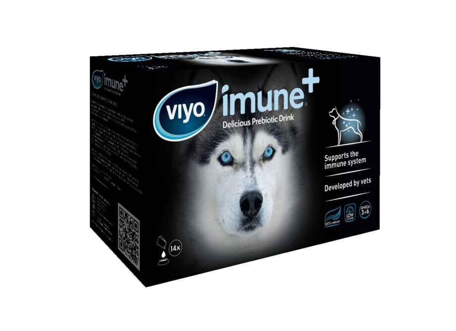 2051 61335 920x667 - Viyo Imune+, hund