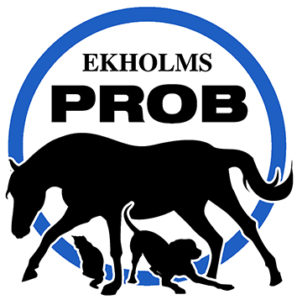 Ny Logo EkholmsPROB bla 3cm bred 297x300 1 - Ekholms