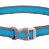 2051 29026 100x100 - Pet Attire Pro halsbånd blå S, 25-36 cm