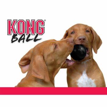 2051 61269extraImage 285 350x350 - Kong Extreme Ball