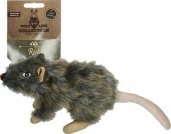2051 42732 350x274 - Wild life collection, RAT
