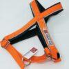 2051 64755 100x100 - Non-Stop Ramble Harness, Orange/Svart