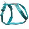 2051 64789 1 100x100 - Non-Stop Touring Bungee leash teal 2 m/23 mm