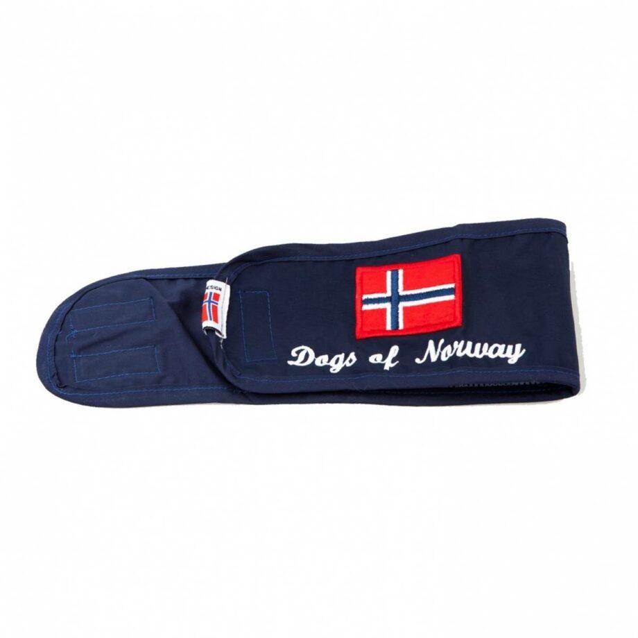 2051 64242 1 920x920 - Dogs of Norway, boyband