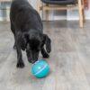 2051 65099 1 100x100 - Trixie Dog Activity Ball & Treat Level 3
